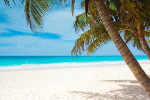 marketing tools - stock images - tropical paradise